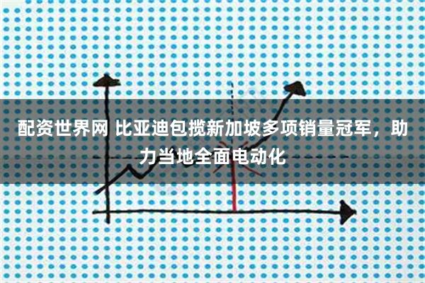 配资世界网 比亚迪包揽新加坡多项销量冠军，助力当地全面电动化